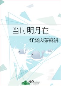 《当时明月在》