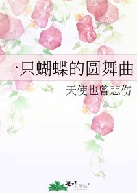 《一只蝴蝶的圆舞曲》