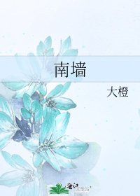 《南墙》