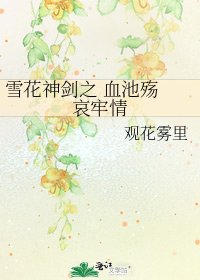 《雪花神剑之 血池殇 哀牢情》