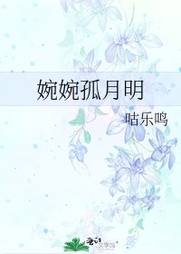 《婉婉孤月明》