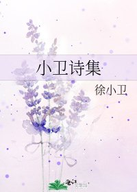 《小卫诗集》