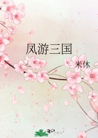 凤游三国