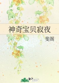 《神奇宝贝寂夜》