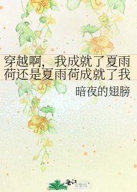 《穿越啊,我成就了夏雨荷还是夏雨荷成就了我》
