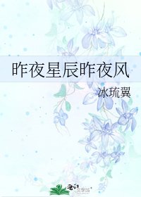 《昨夜星辰昨夜风》