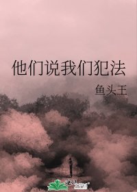 《他们说我们犯法》