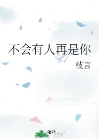 《不会有人再是你》