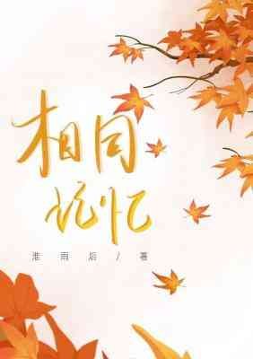 《相同记忆》