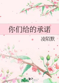 《你们给的承诺》