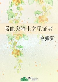 《吸血鬼骑士之见证者》