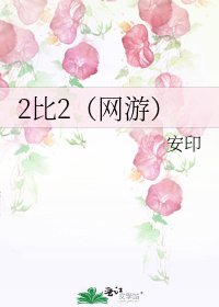 《2比2(网游)》