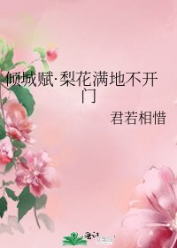 《倾城赋·梨花满地不开门》