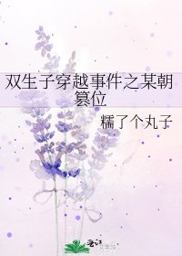 《双生子穿越事件之某朝篡位》