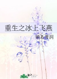 《重生之冰上飞燕》