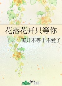 《花落花开只等你》