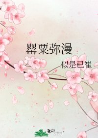 《罂粟弥漫》