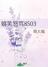 《嬉笑怒骂8503》