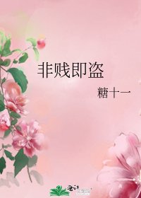 《非贱即盗》