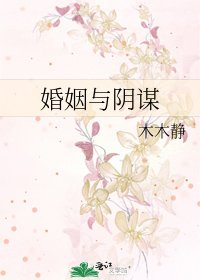 《婚姻与阴谋》