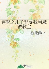 《穿越之儿子非要我当魔教教主》