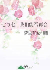《七与七,我们能否再会》