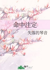 《命中注定》