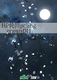 《HP轮回palingenesisDH》