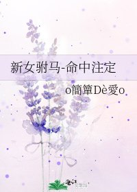 《新女驸马-命中注定》