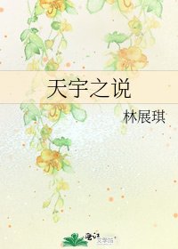 《天宇之说》
