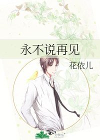 《永不说再见》