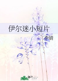 《伊尔迷小短片》