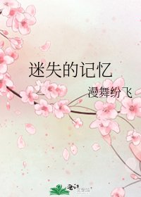 《迷失的记忆》