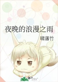 《夜晚的浪漫之雨》