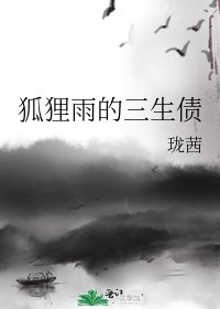 《狐狸雨的三生债》