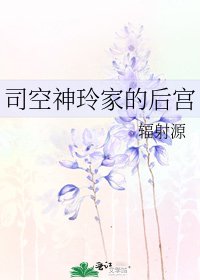 《司空神玲家的后宫》