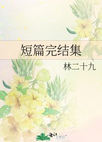 《短篇集》