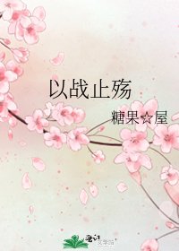 《以战止殇》