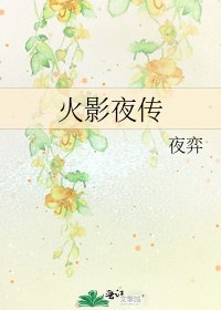 《火影夜传》