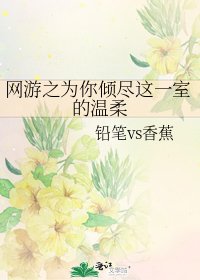 《网游之为你倾尽这一室的温柔》