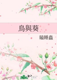 《鳥與葵》