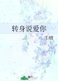 《转身说爱你》