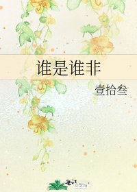 《谁是谁非》