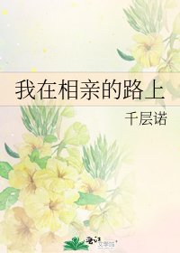 《我在相亲的路上》