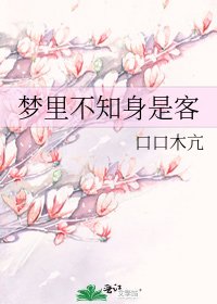 《梦里不知身是客》