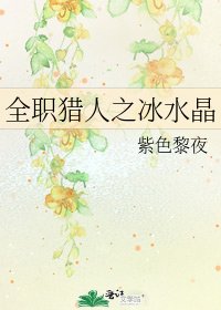 《全职猎人之冰水晶》