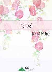 《文案》