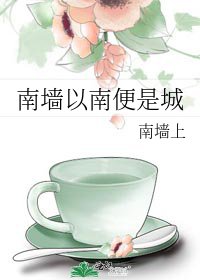 《南墙以南便是城》