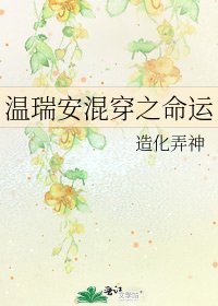 《温瑞安混穿之命运》