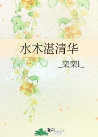 《水木湛清华》